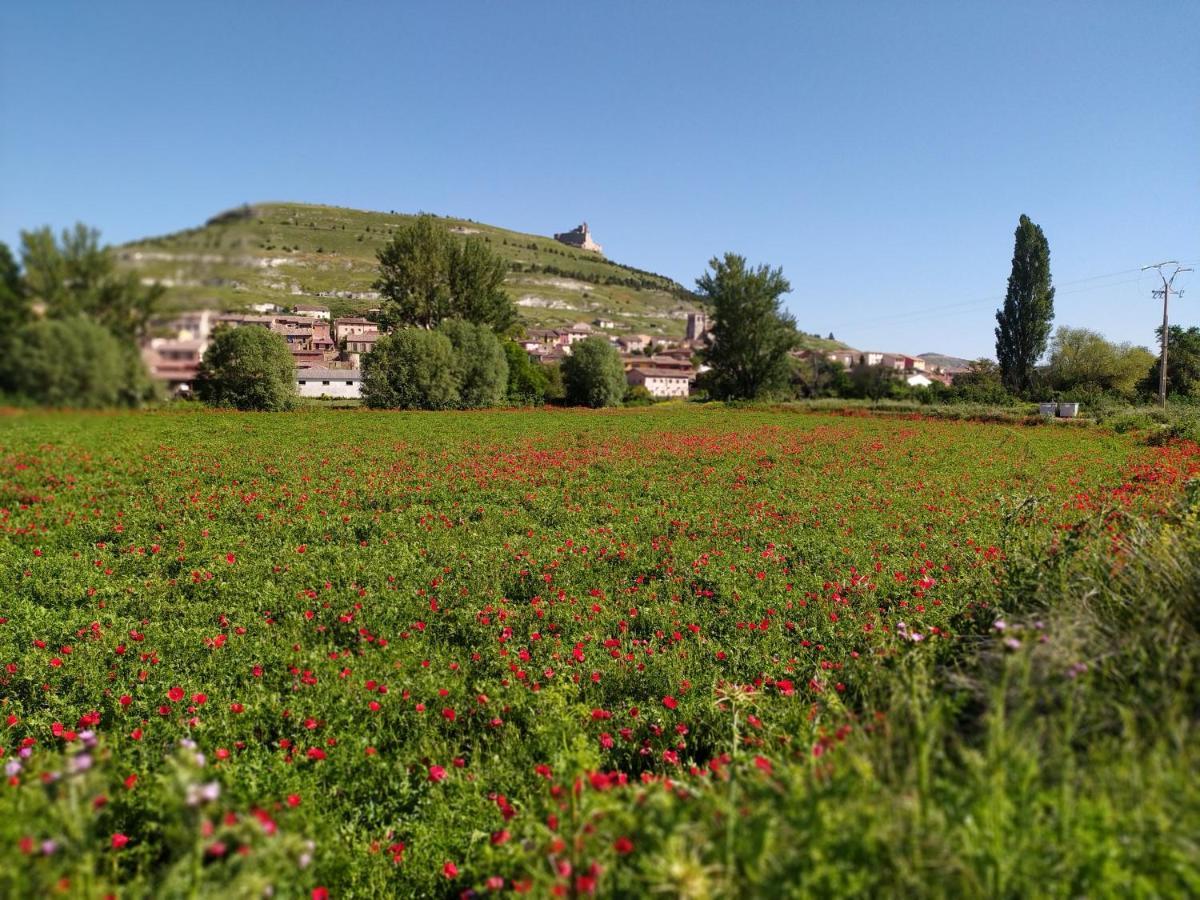 Camino De Santiago Hostel Castrojeriz Kültér fotó